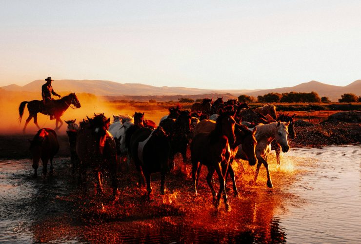 Cappadocia Horse Riding Tour